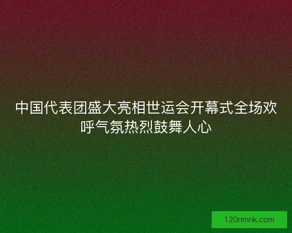中国代表团盛大亮相世运会开幕式全场欢呼气氛热烈鼓舞人心