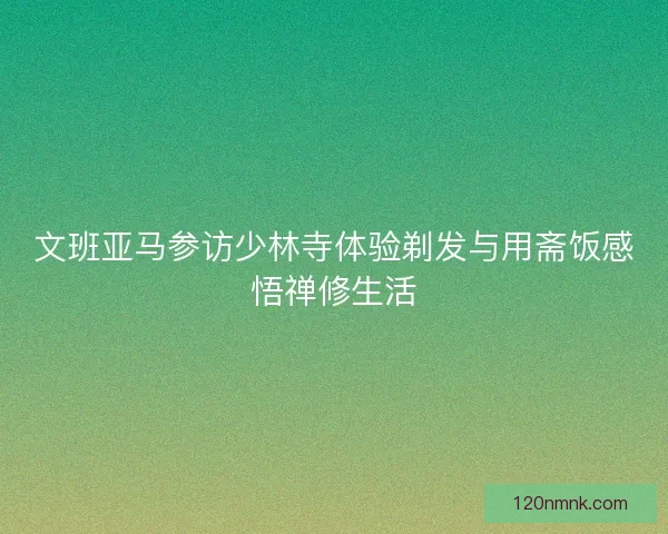 文班亚马参访少林寺体验剃发与用斋饭感悟禅修生活